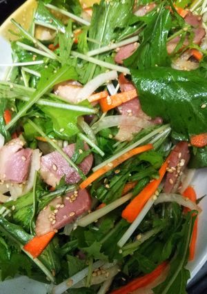 鴨パストラミと水菜の中華風サラダ-レシピのメイン写真