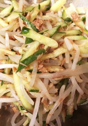 節約！鯖缶ともやしときゅうり和えるだけ-レシピのメイン写真