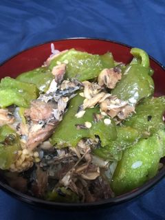 鯖缶とピーマンの丼-レシピのメイン写真