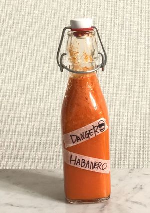 自家製発酵ハバネロソース-レシピのメイン写真