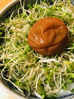 スプラウトのせおかゆ-レシピのメイン写真