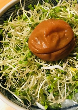 スプラウトのせおかゆ-レシピのメイン写真