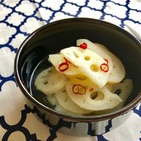 れんこん様 専用ページ 基本からアレンジまで！思わずつくりたくなる「れんこん
