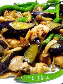 茄子と鶏肉の塩麹炒め-レシピのメイン写真