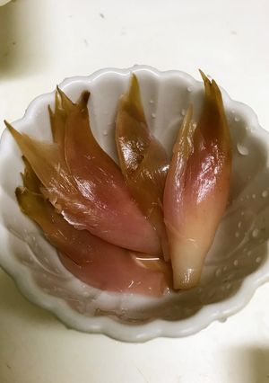 バズる？みょうがの甘酢漬け　-レシピのメイン写真