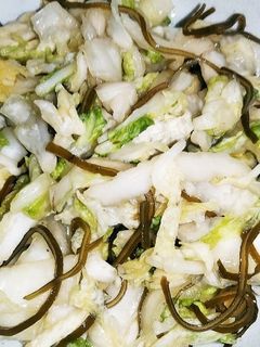簡単白菜の漬物-レシピのメイン写真
