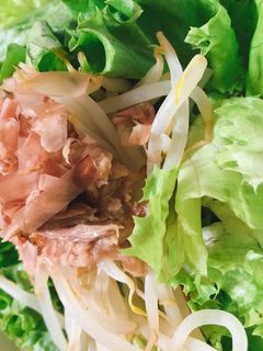 もやしレタスサラダ-レシピのメイン写真