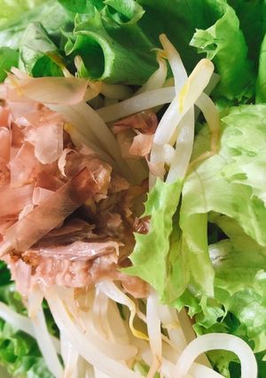 もやしレタスサラダ-レシピのメイン写真