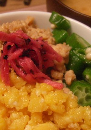 自家製紅生姜-レシピのメイン写真