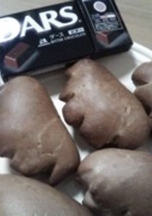 みんな大好きチョコレートパン-レシピのメイン写真