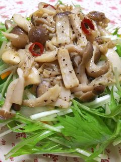 きのこと水菜のサラダ-レシピのメイン写真