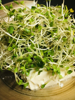 くずし豆腐とスプラウトの胡麻ドレサラダ-レシピのメイン写真
