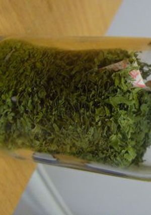 ニンジンの葉の排熱利用乾燥-レシピのメイン写真
