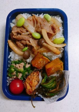 ☆高校生娘と私のお弁当☆104-レシピのメイン写真