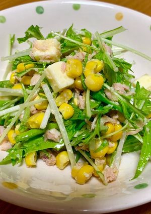 水菜とツナのイタリアンサラダ☆-レシピのメイン写真