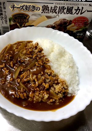 ハヤシカレーライス-レシピのメイン写真