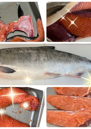【基本】鮭の捌き方-レシピのメイン写真
