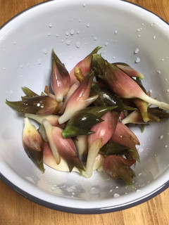 ミョウガの洗い方-レシピのメイン写真
