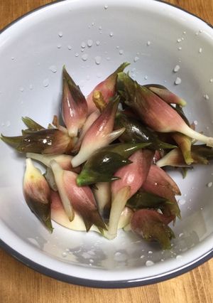 ミョウガの洗い方-レシピのメイン写真