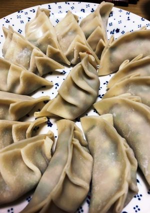 美味しい餃子のなかみのレシピ-レシピのメイン写真