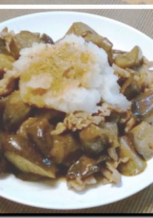 豚バラ肉とナスの照り煮★おろしのっけ-レシピのメイン写真