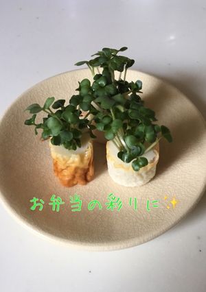 お弁当すき間に！簡単♡ちくわ&スプラウト-レシピのメイン写真