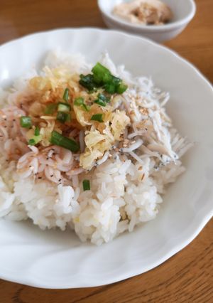 あみえびとしらす丼-レシピのメイン写真