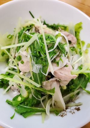 野菜たっぷりの豚しゃぶサラダ-レシピのメイン写真