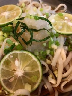 胃に優しいさっぱりうどん-レシピのメイン写真
