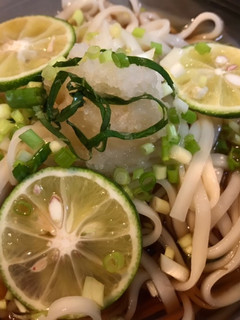 胃に優しいさっぱりうどん-レシピのメイン写真