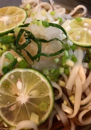胃に優しいさっぱりうどん-レシピのメイン写真