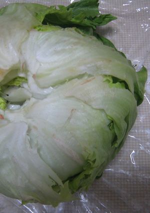 ☆楽チン無駄なし~レタスのしんのとり方☆-レシピのメイン写真