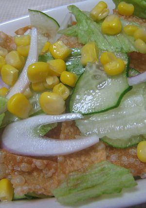 ☆餃子の皮使用~パリパリサラダ☆-レシピのメイン写真