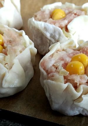 手作り焼売 ~たっぷりタマネギ入り~-レシピのメイン写真