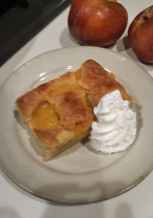 生のプラムを載せて焼いたバターケーキ-レシピのメイン写真