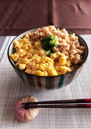 鶏そぼろ丼-レシピのメイン写真