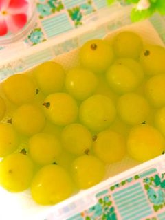 ぶどう私の保存方法-レシピのメイン写真