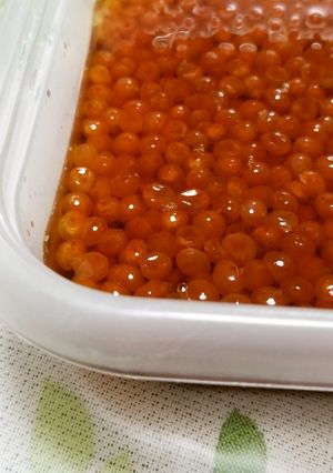 簡単いくらの醤油漬け-レシピのメイン写真