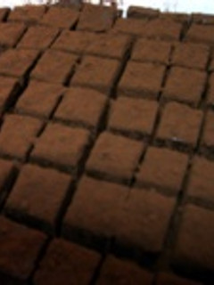 ラムレーズン生チョコレート-レシピのメイン写真