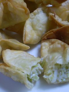 余ったギョウザの皮でジャコと葱の揚げ餃子-レシピのメイン写真