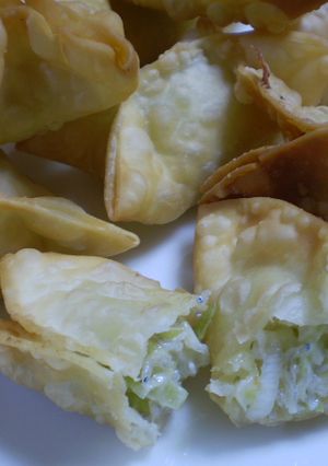 余ったギョウザの皮でジャコと葱の揚げ餃子-レシピのメイン写真
