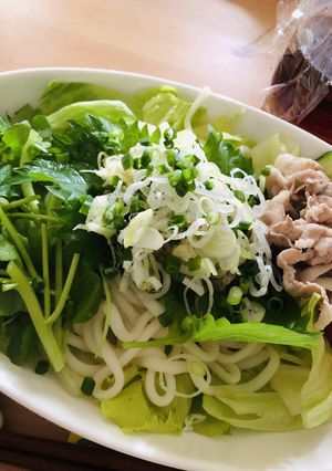 薬味たっぷり簡単サッパリサラダうどん-レシピのメイン写真