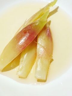 みょうがの甘酢漬け-レシピのメイン写真