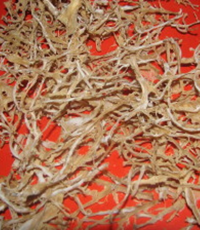 筍の『干し筍』 by 主夫の英明 【クックパッド】 簡単おいしいみんなの