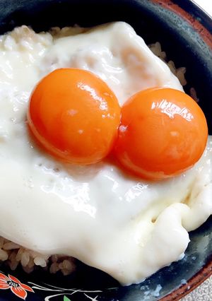 ひと手間で!極みの卵かけご飯-レシピのメイン写真