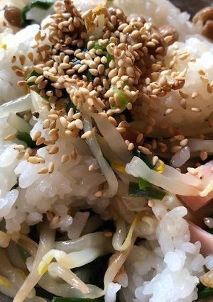 納豆と中華ニラもやしのまぜご飯-レシピのメイン写真