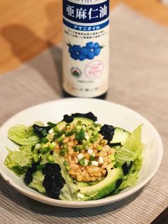 亜麻仁オイルと納豆のチョレギサラダ-レシピのメイン写真