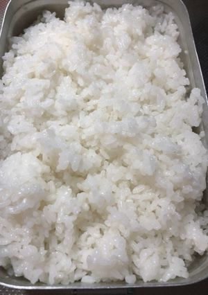 ラージメスティン自動炊飯 2合キャンプ飯-レシピのメイン写真