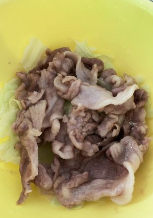 ズボラ女子飯w豚キャベツ温野菜-レシピのメイン写真