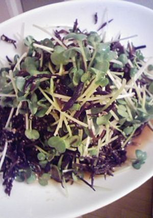 ひじきとカイワレの胡麻ポン☆サラダ-レシピのメイン写真